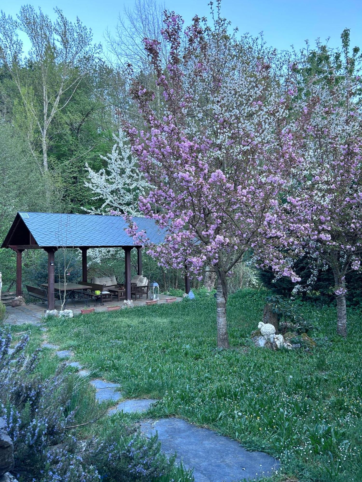 Casa Begona Villa Iguena Dış mekan fotoğraf