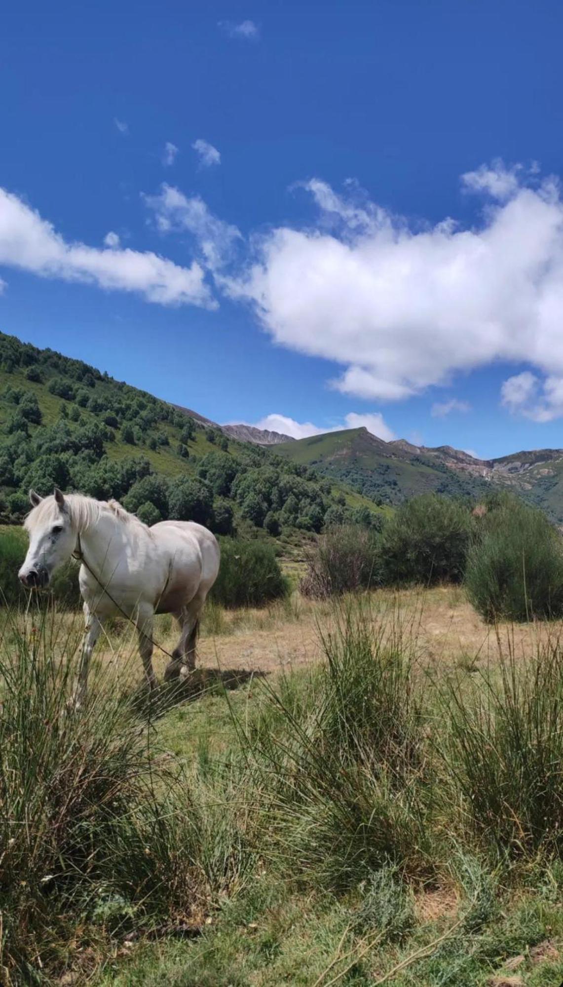 Casa Begona Villa Iguena Dış mekan fotoğraf